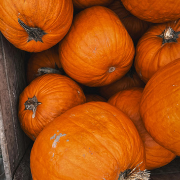 Latest News from Saints Peter and Paul Lutheran Church in Riverside, IL