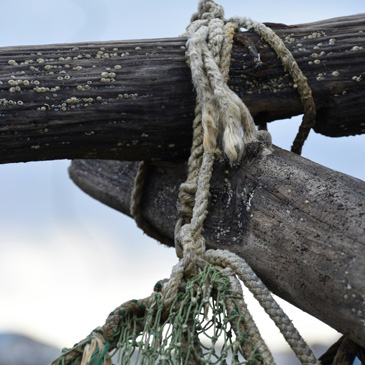 Latest Worship Folder from Saints Peter and Paul Lutheran Church in Riverside, IL