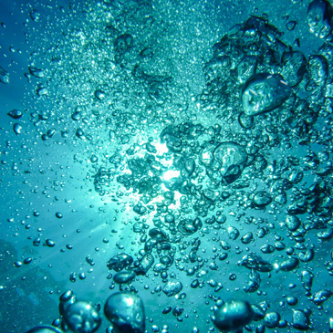 Latest Worship Folder from Saints Peter and Paul Lutheran Church in Riverside, IL