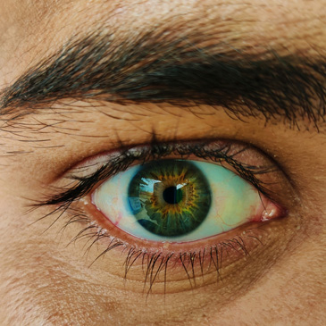 Latest Worship Folder from Saints Peter and Paul Lutheran Church in Riverside, IL